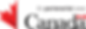 Logo AMC EN (2).png